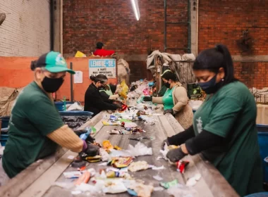 iniciativas de reciclagem ganham forca com fungos biodegradando plastico e.webp