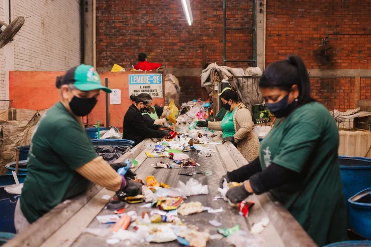 iniciativas de reciclagem ganham forca com fungos biodegradando plastico e.webp