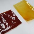 inovacao verde talheres de larvas plastico reciclado e bioplastico de