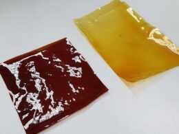 inovacao verde talheres de larvas plastico reciclado e bioplastico de