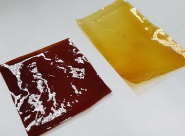inovacao verde talheres de larvas plastico reciclado e bioplastico de