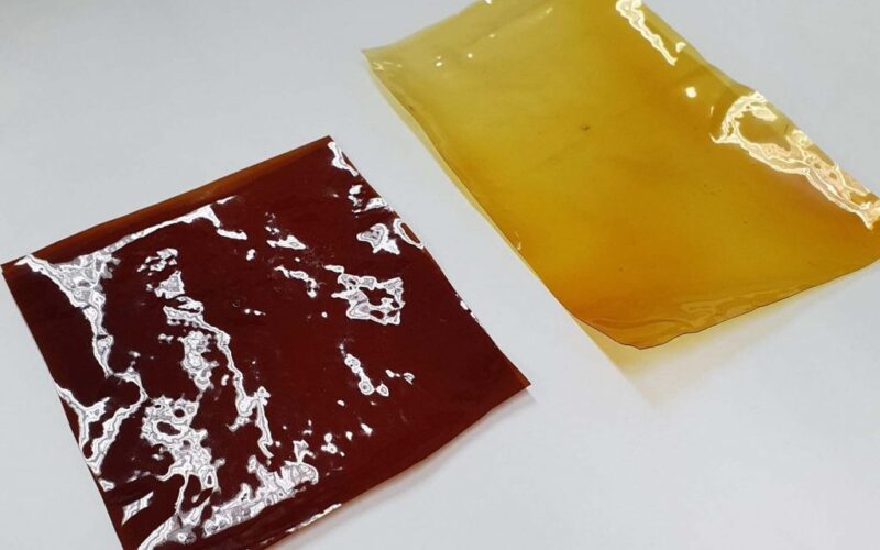 inovacao verde talheres de larvas plastico reciclado e bioplastico de