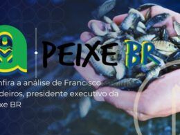 instabilidade no mercado de cultivo analise exclusiva de francisco medeiros