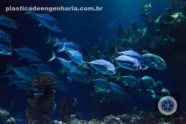 instituto de pesca oferece orientacao para pescadores obterem licenca atraves