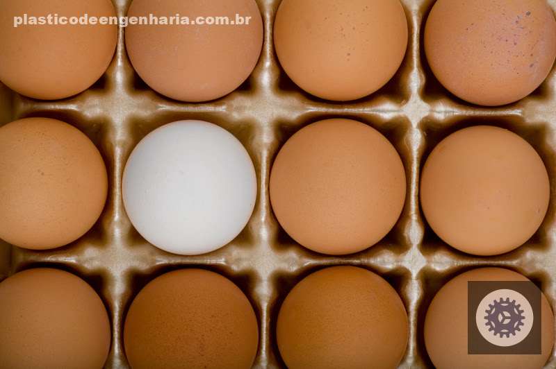 Integração da cadeia produtiva de ovos com o varejo eleva qualidade, valor agregado e rentabilidade