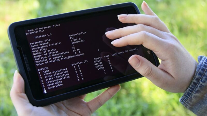 Inteligência Artificial na Pecuária: Aumente a Produtividade e Reduza Custos com Tecnologias Inovadoras