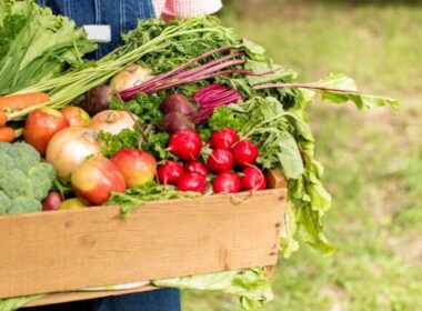 investimentos em seguranca alimentar a chave para fortalecer a agricultura