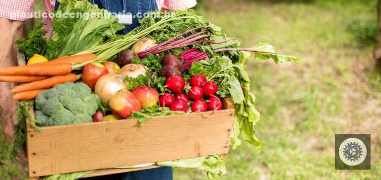 investimentos em seguranca alimentar a chave para fortalecer a agricultura