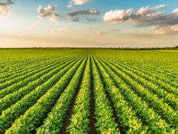 IOF em alta: como as cooperativas podem se proteger e otimizar suas finanças no Brasil. 15 IOF em alta: como as cooperativas podem se proteger e otimizar suas finanças no Brasil.