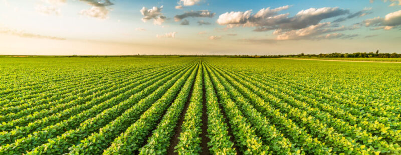 IOF em alta: como as cooperativas podem se proteger e otimizar suas finanças no Brasil.