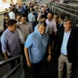 São Paulo mantém isenção de ICMS para animais PO após mobilização do setor