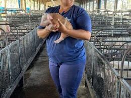 jovem maranhense encontra oportunidades na suinocultura