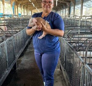 jovem maranhense encontra oportunidades na suinocultura