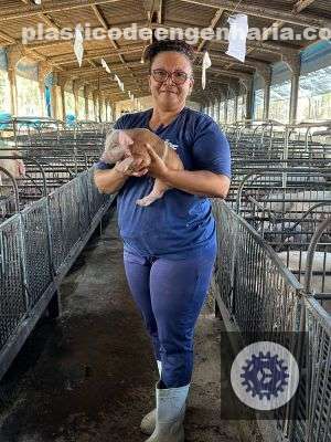 jovem maranhense encontra oportunidades na suinocultura