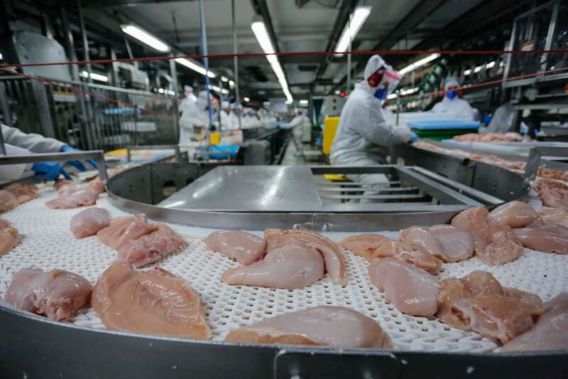 Kuwait, Bahrein, Albânia e Turquia ampliam mercado para carne de frango brasileira, impulsionando exportações e negócios.