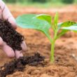 lei dos bioinsumos aprovada uma nova era para a sustentabilidade
