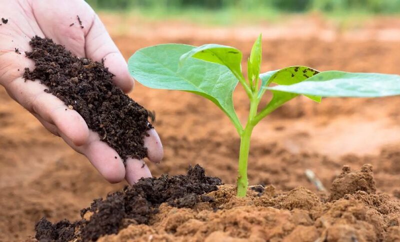 lei dos bioinsumos aprovada uma nova era para a sustentabilidade