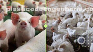 Levantamento de custos de suínos e aves: otimize sua produção e maximize lucros com o sistema FAEP.