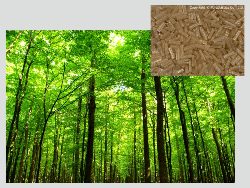 lft pp em celulose regenerada traz durabilidade e sustentabilidade como pilares.pngmaxwidth1200