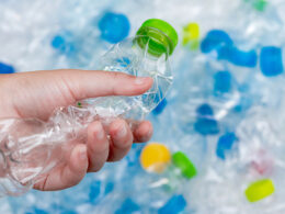 Linha Eccoar da Piramidal oferece r-PET, r-PE e r-PP para múltiplas aplicações industriais 10 Linha Eccoar da Piramidal oferece r-PET, r-PE e r-PP para múltiplas aplicações industriais