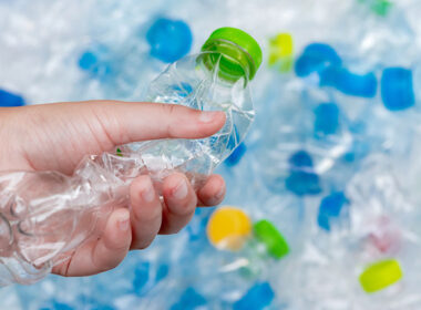 Linha Eccoar da Piramidal oferece r-PET, r-PE e r-PP para múltiplas aplicações industriais