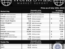 Lucros no mercado suinícola canadense apontam para um futuro promissor e oportunidades de crescimento sustentável. 11 Lucros no mercado suinícola canadense apontam para um futuro promissor e oportunidades de crescimento sustentável.
