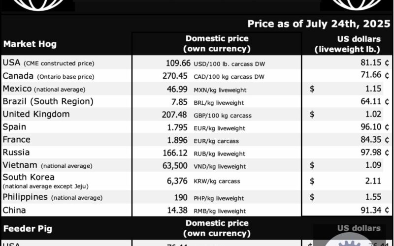 Lucros no mercado suinícola canadense apontam para um futuro promissor e oportunidades de crescimento sustentável.