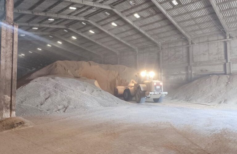 Maior operação do Mapa em Paranaguá garante destino legal da soja irregular e protege a cadeia exportadora