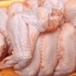 mais oportunidades para o brasil exportacao de frango halal a