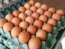 Malásia reduz subsídios para ovos, abrindo caminho para uma nova era de preços justos e mercado sustentável 8 malasia reduz subsidios para ovos abrindo caminho para uma nova