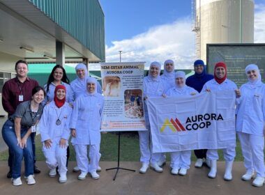 mandaguari unidade industrial de aves atinge excelencia em bem estar animal