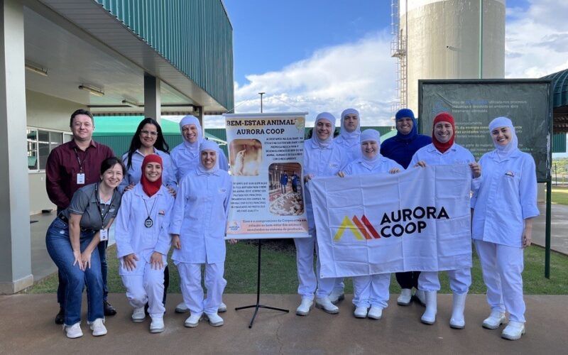 mandaguari unidade industrial de aves atinge excelencia em bem estar animal