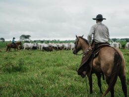 Maragogipe aprimora integração com ILP e transforma desafios em oportunidades de desenvolvimento local 11 maragogipe aprimora integracao com ilp e transforma desafios em oportunidades