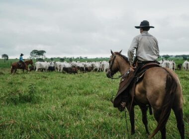 maragogipe aprimora integracao com ilp e transforma desafios em oportunidades