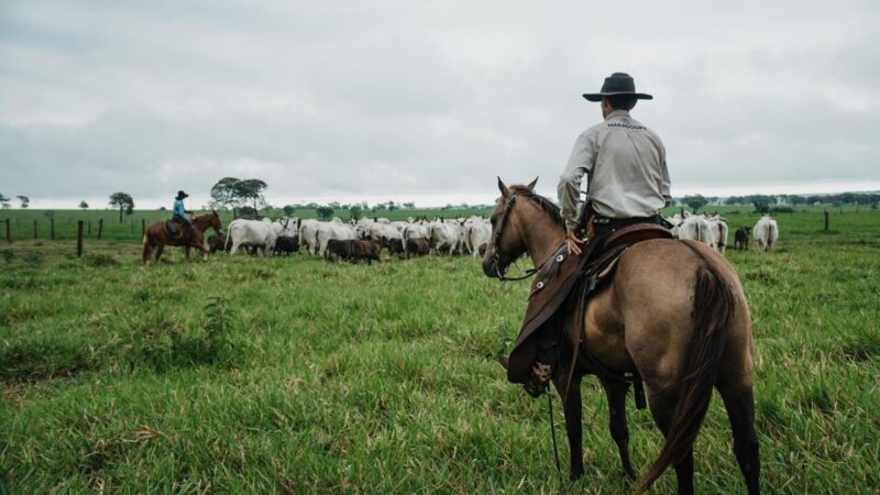 maragogipe aprimora integracao com ilp e transforma desafios em oportunidades