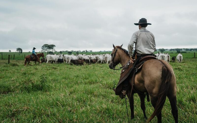 maragogipe aprimora integracao com ilp e transforma desafios em oportunidades