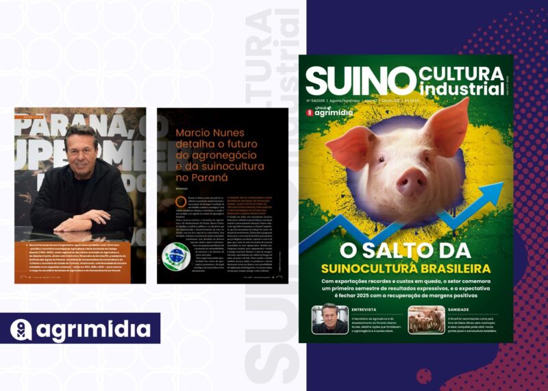 Marcio Nunes detalha estratégias para fortalecer o agronegócio e elevar a rentabilidade da suinocultura no Paraná