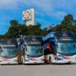 Marcopolo exporta 19 ônibus do modelo Paradiso G8 1800 DD para o Equador
