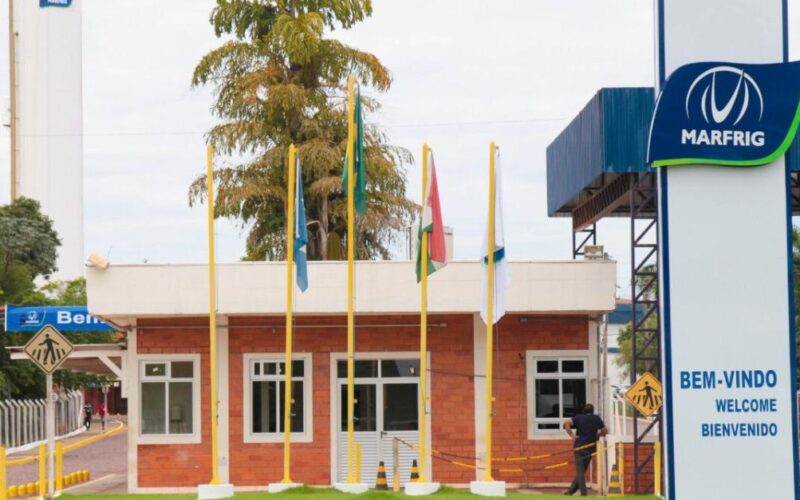 marfrig alcanca meta auditoria de bem estar animal aumenta confianca e