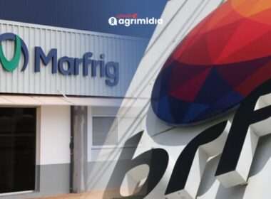 Marfrig e BRF em nova união estratégica: 75% das ações buscam fortalecer o setor de alimentos no Brasil.