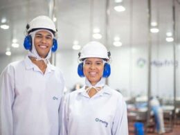 marfrig lidera transparencia ambiental global descubra como a pontuacao triplo