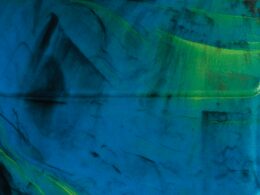 marmore colorfix 2024 inspiracao nas aves e fauna do brasil