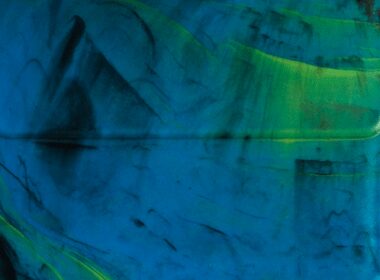 marmore colorfix 2024 inspiracao nas aves e fauna do brasil