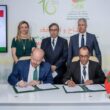 marrocos elimina impostos oportunidade de ouro para importadores de carne