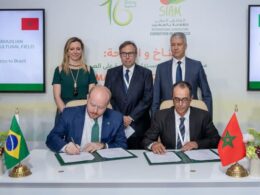marrocos elimina impostos oportunidade de ouro para importadores de carne