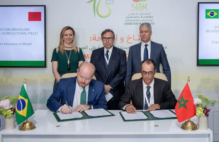 marrocos elimina impostos oportunidade de ouro para importadores de carne