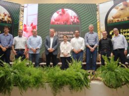 mato grosso do sul aposta na suinocultura sustentavel e colhe