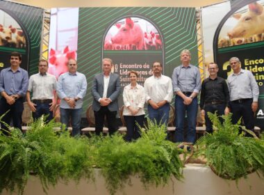 mato grosso do sul aposta na suinocultura sustentavel e colhe