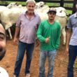 Genética e bem-estar animal garantem sucesso em pecuária de ciclo completo em RO