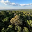 Meio ambiente é o tema menos buscado no Brasil, revela pesquisa.